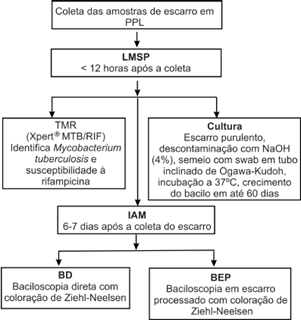 fig1