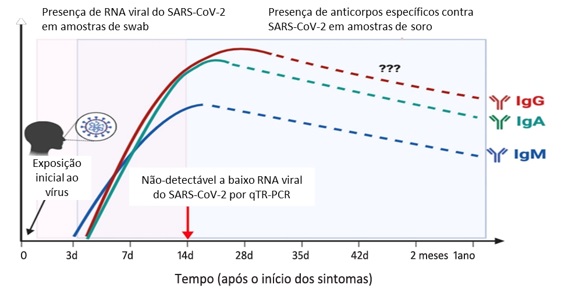 Demanda aumenta, e pedidos para exame RT-PCR para Covid em redes  particulares pode levar sete dias - 04/12/2020 - Equilíbrio e Saúde - Folha