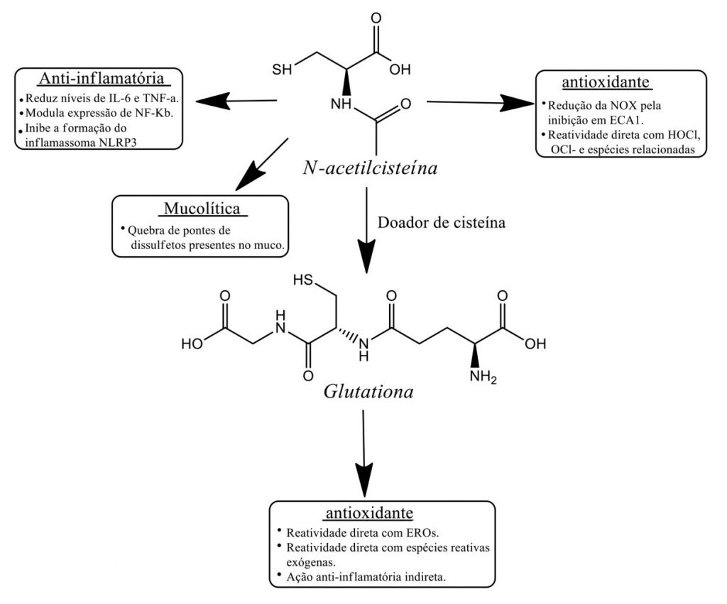 fig1