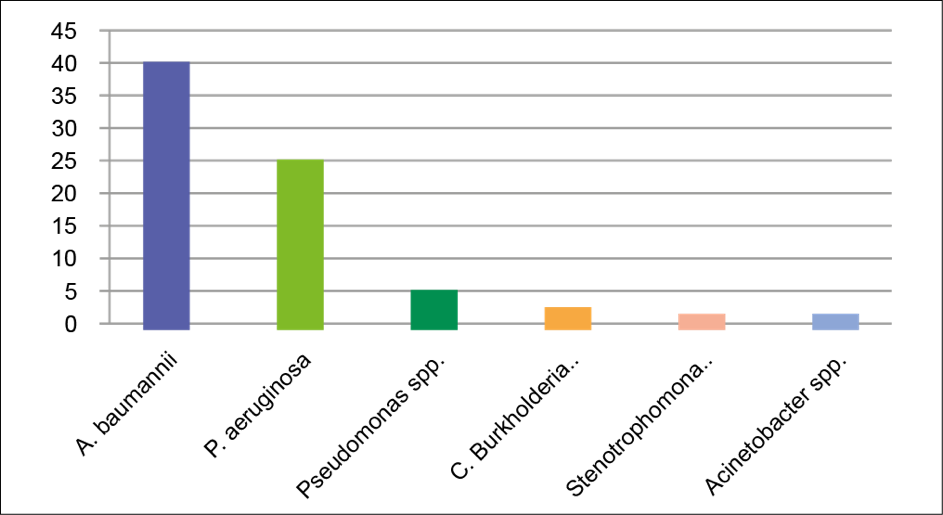 grafico 3