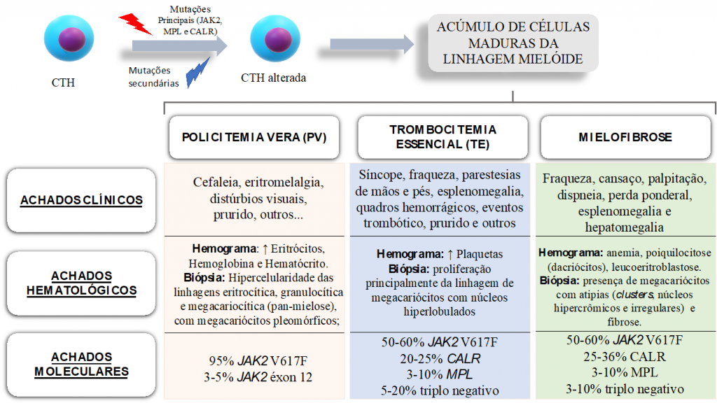 Diagnóstico hematológico e molecular das neoplasias mieloproliferativas  crônicas BCR-ABL negativas - Revista RBAC